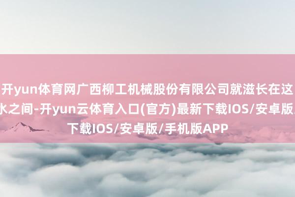 开yun体育网广西柳工机械股份有限公司就滋长在这一派灵山秀水之间-开yun云体育入口(官方)最新下载IOS/安卓版/手机版APP