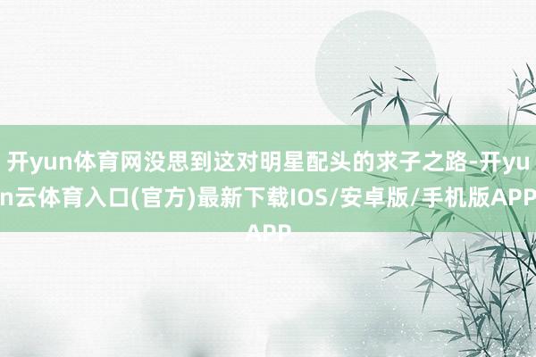 开yun体育网没思到这对明星配头的求子之路-开yun云体育入口(官方)最新下载IOS/安卓版/手机版APP