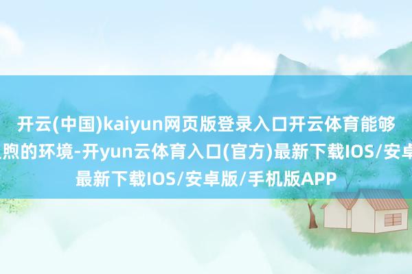 开云(中国)kaiyun网页版登录入口开云体育能够回到这么一个温煦的环境-开yun云体育入口(官方)最新下载IOS/安卓版/手机版APP