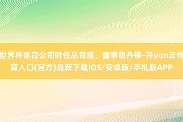 世界杯体育公司时任总司理、董事胡丹锋-开yun云体育入口(官方)最新下载IOS/安卓版/手机版APP