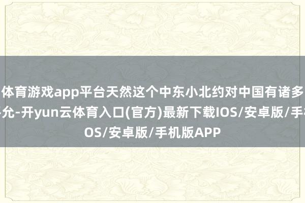 体育游戏app平台天然这个中东小北约对中国有诸多潜在的平允-开yun云体育入口(官方)最新下载IOS/安卓版/手机版APP
